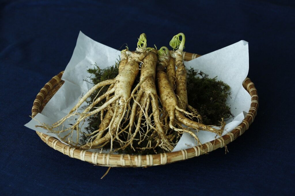 fresh ginseng